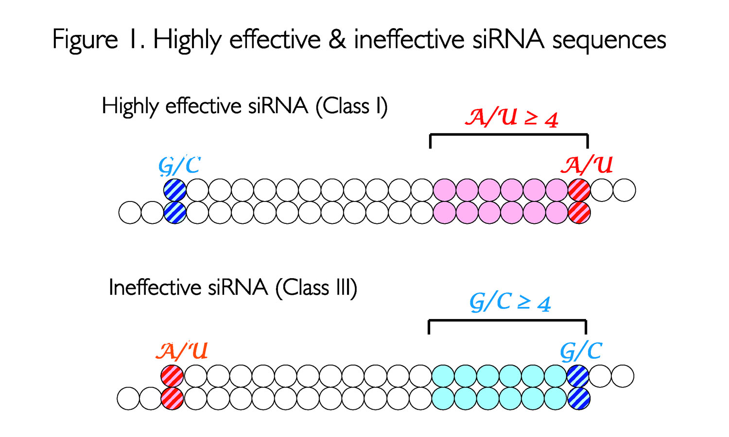 si rna